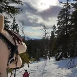 Rukahillchalet2 In - Out - Skipass & Summer Activities X2