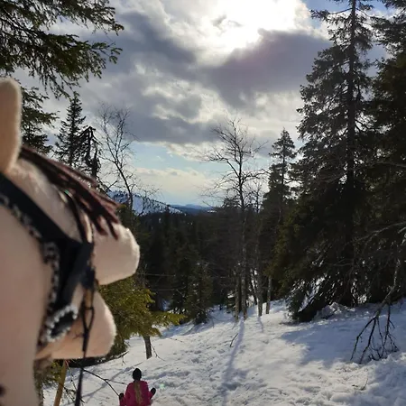 Rukahillchalet2 In - Out - Skipass&summer Activities X2