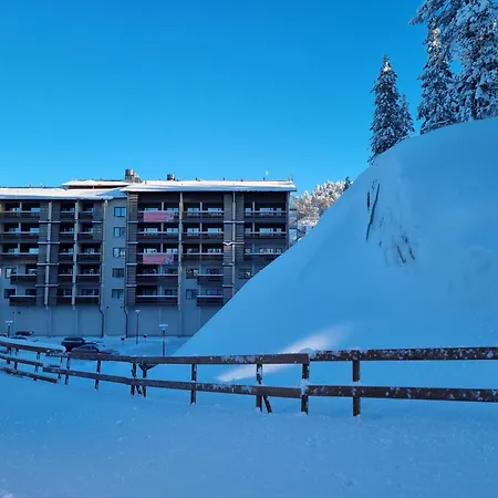 Apartment Rukahillchalet2 In - Out - Skipass X2 Ruka