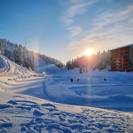 Rukahillchalet2 In - Out - Skipass X2 루카