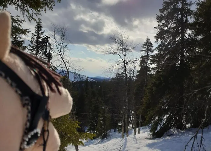 Rukahillchalet2 In - Out - Skipass & Summer Activities X2