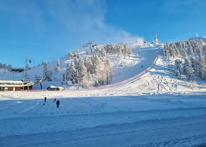 Rukahillchalet2 In - Out - Skipass X2 아파트